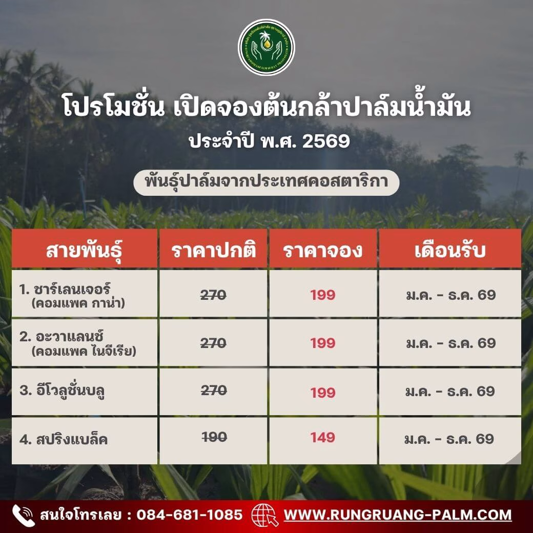 พันธุ์ปาล์มจากประเทศคอสตาริกา