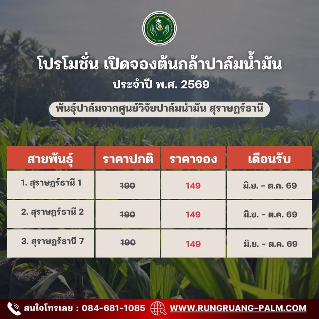 พันธุ์ปาล์มจากศูนย์วิจัยปาล์มน้ำมันสุราษฎร์ธานี