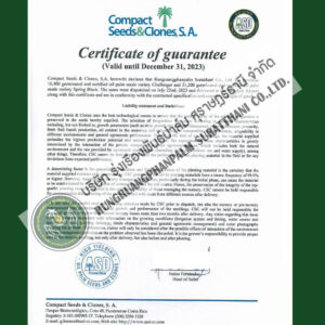 สปริงแบล็ค_Certificate_Of_Guarantee