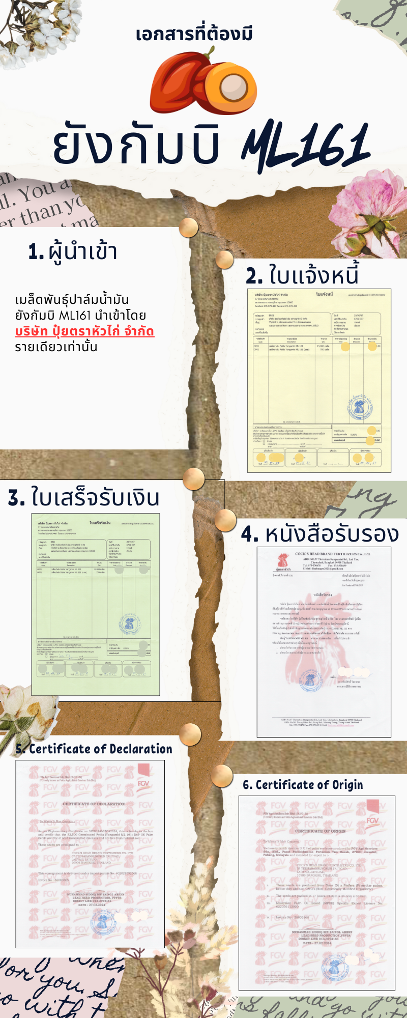 ยังกัมบิ ML161