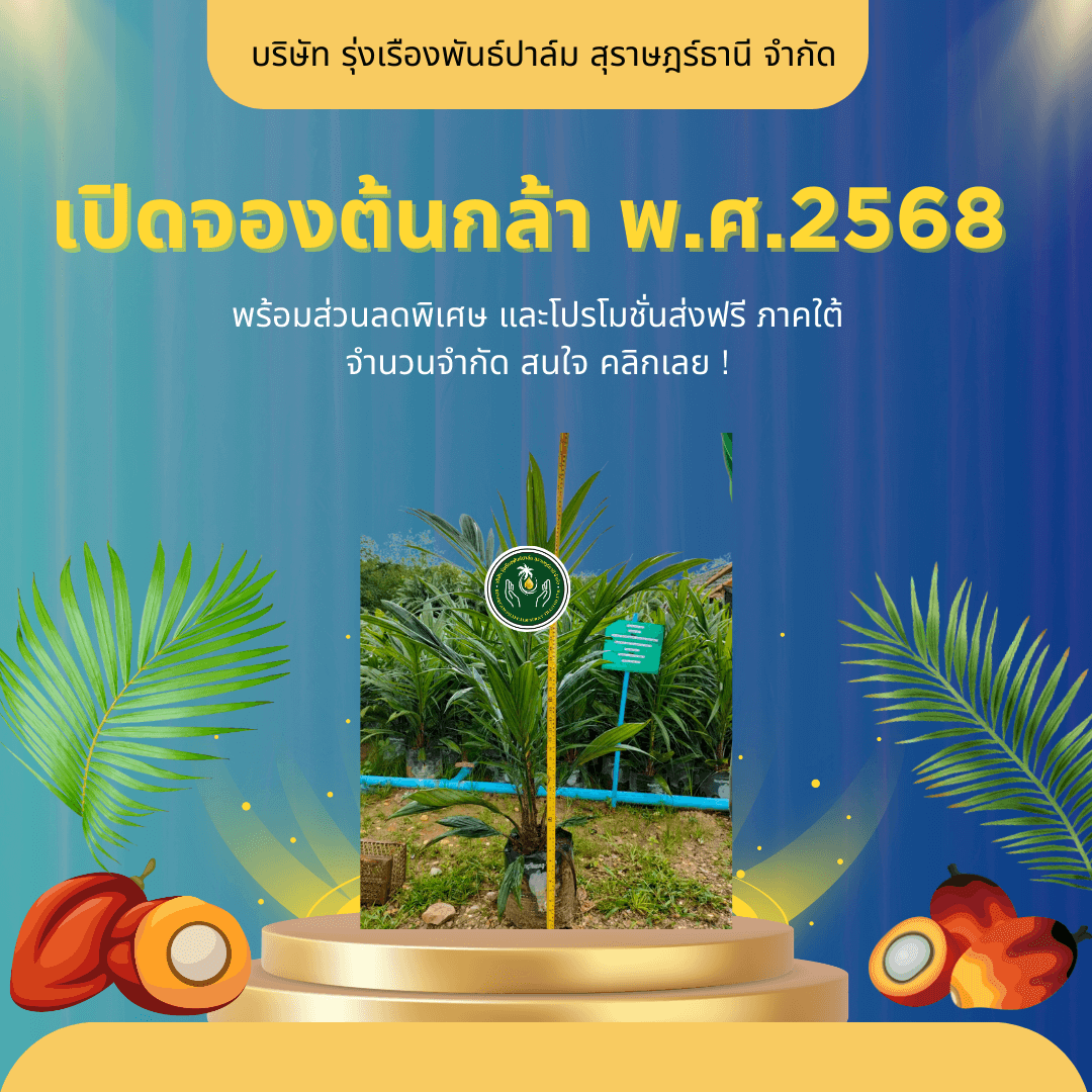 เปิดจองต้นกล้าปาล์ม พ.ศ. 2568