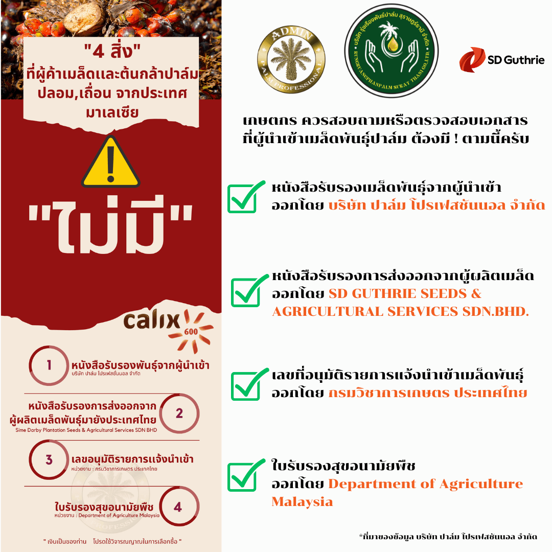 เอกสารที่ควรตรวจสอบ คาลิกซ์ Q6