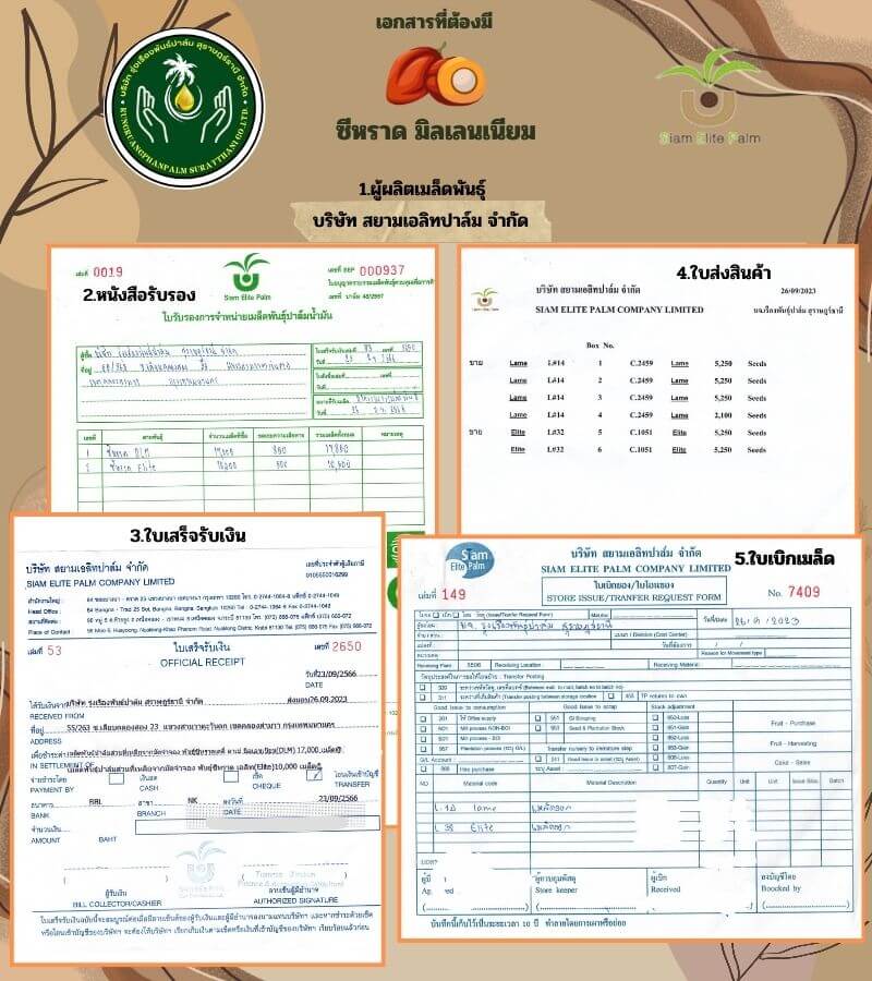 Cirad Millennium Certificates