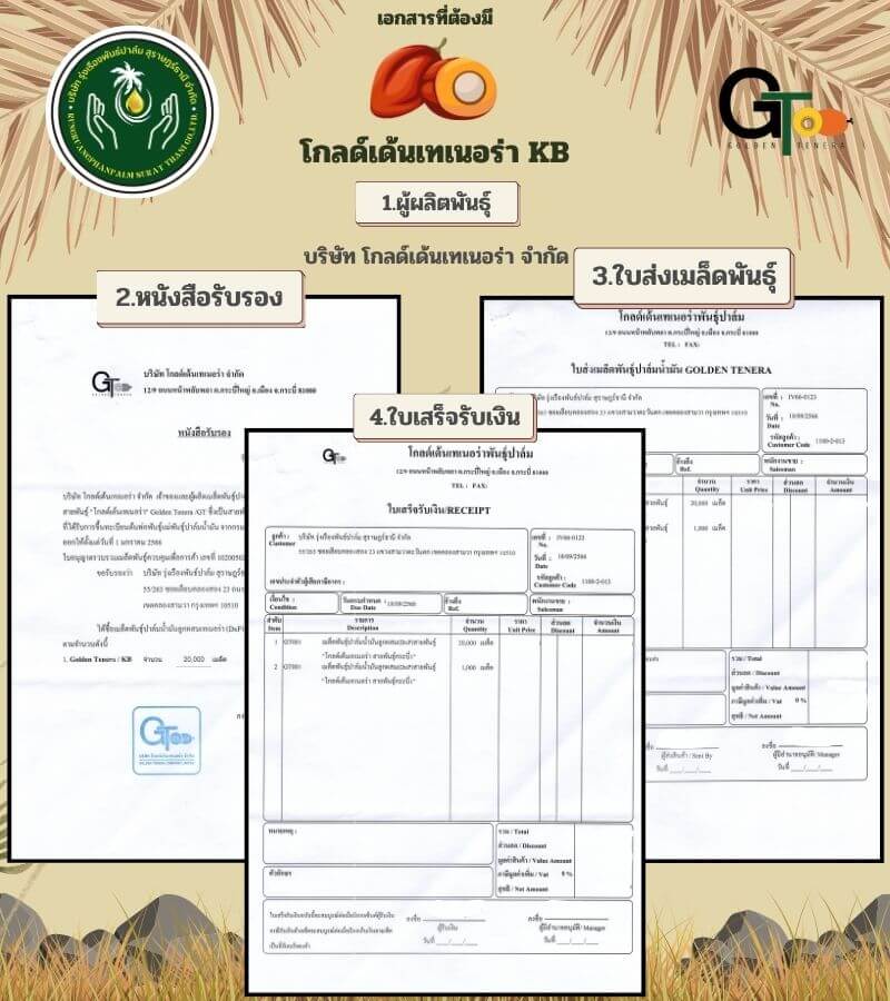 Golden Tenera KB Certificates