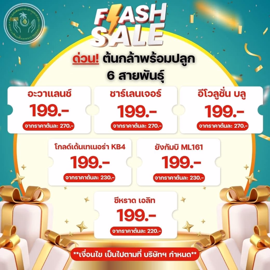 Flash Sale ต้นละ 199 บาท