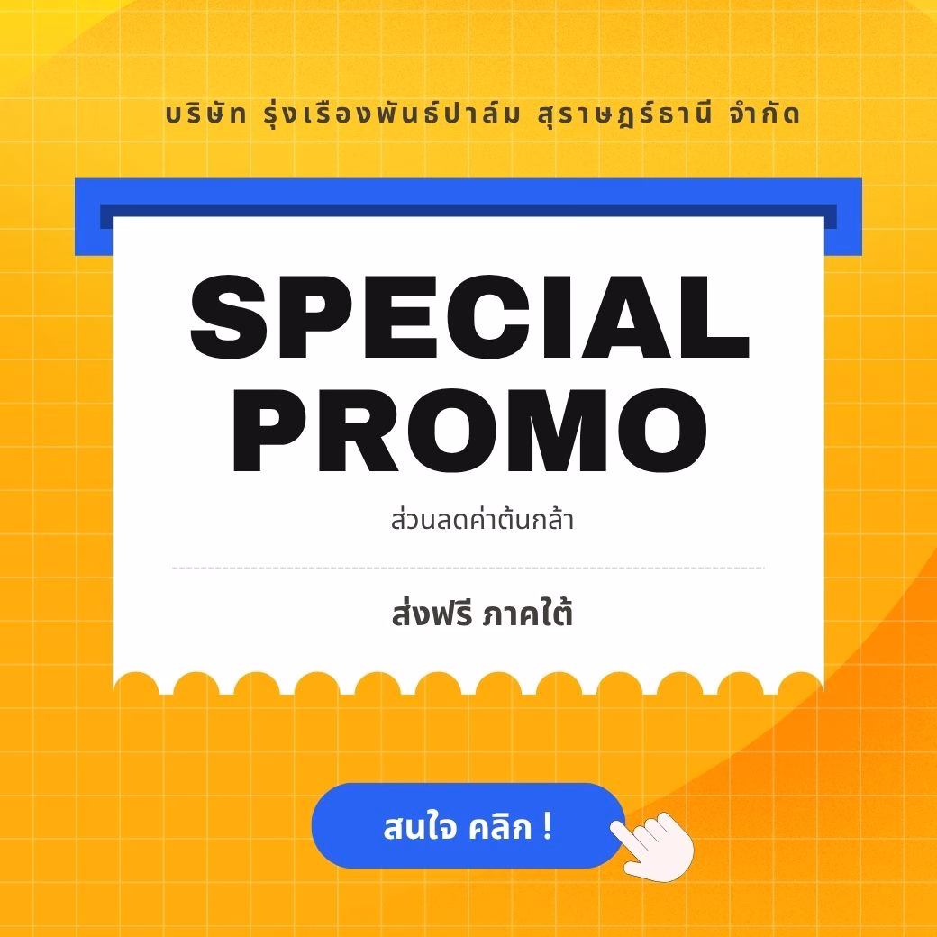 Special Promotion